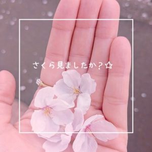 皆さまお花見しましたか？？