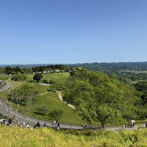 緑を見る効果🌳