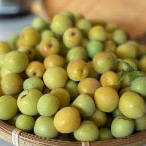 疲れた時こそ！【クエン酸】がおすすめ
