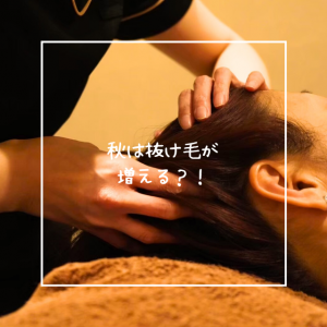 秋は抜け毛が増える？！