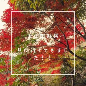 大山の紅葉🍁