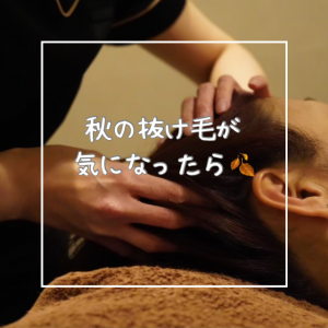 秋の抜け毛が気になったら「ドライヘッドスパ」🍂