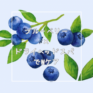 ブルーベリー×ドライヘッドスパでWケア