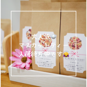 しゃきっとマスカットティー入荷待ち中‍♀️