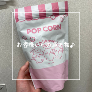 お客様からの頂き物♪