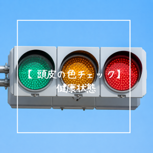 【頭皮の色チェック】健康状態