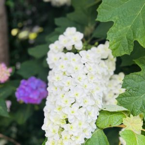 「湿度疲れ」に効果的✨