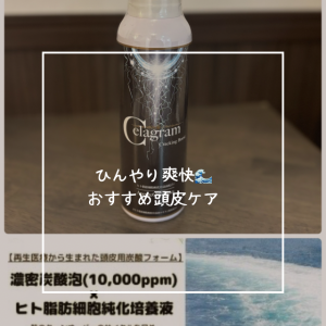 ひんやり爽快🌊おすすめ頭皮ケア